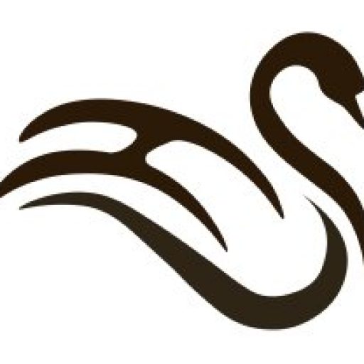 Leatherhead & District Local History Society Archive